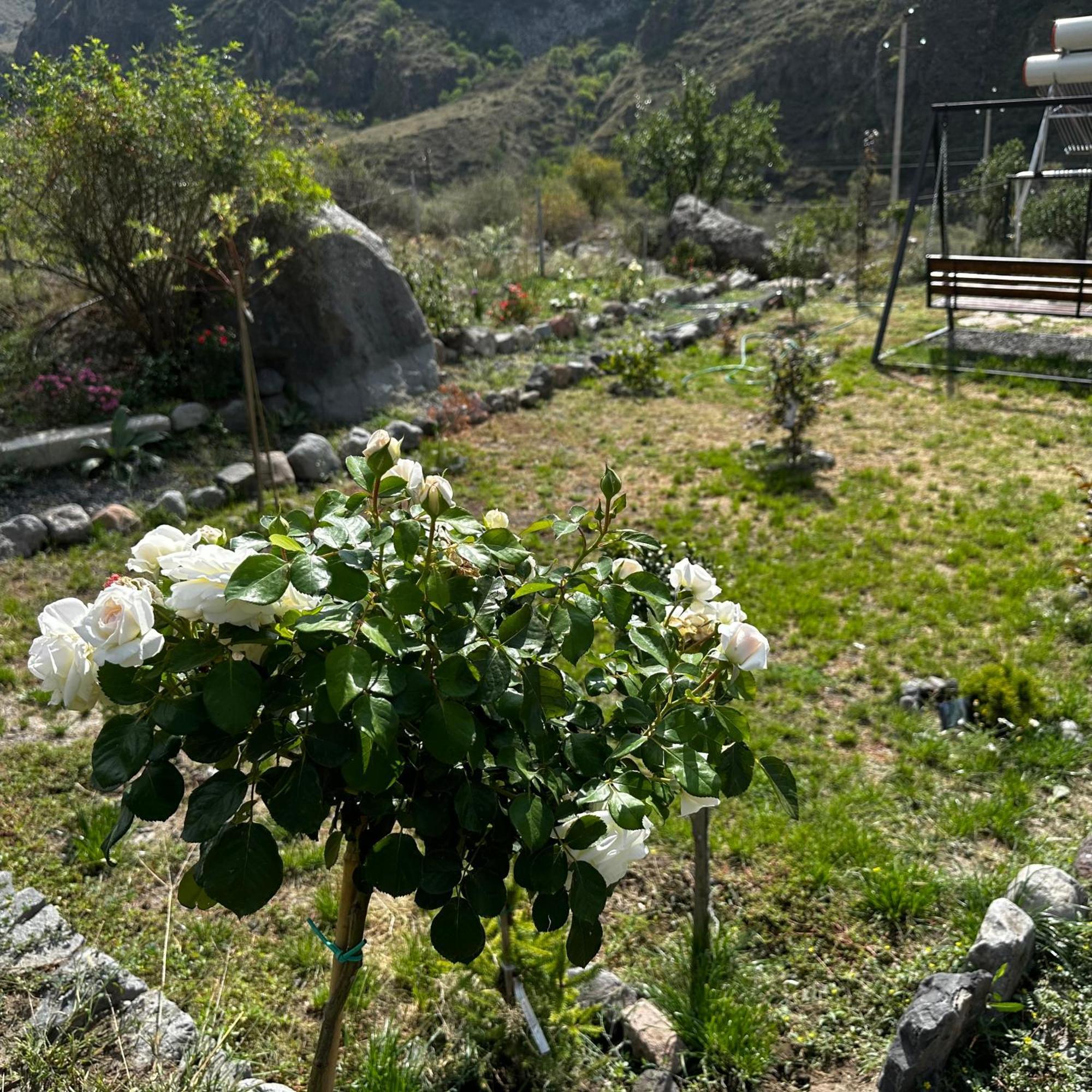 Vardzia Glamping ภายนอก รูปภาพ