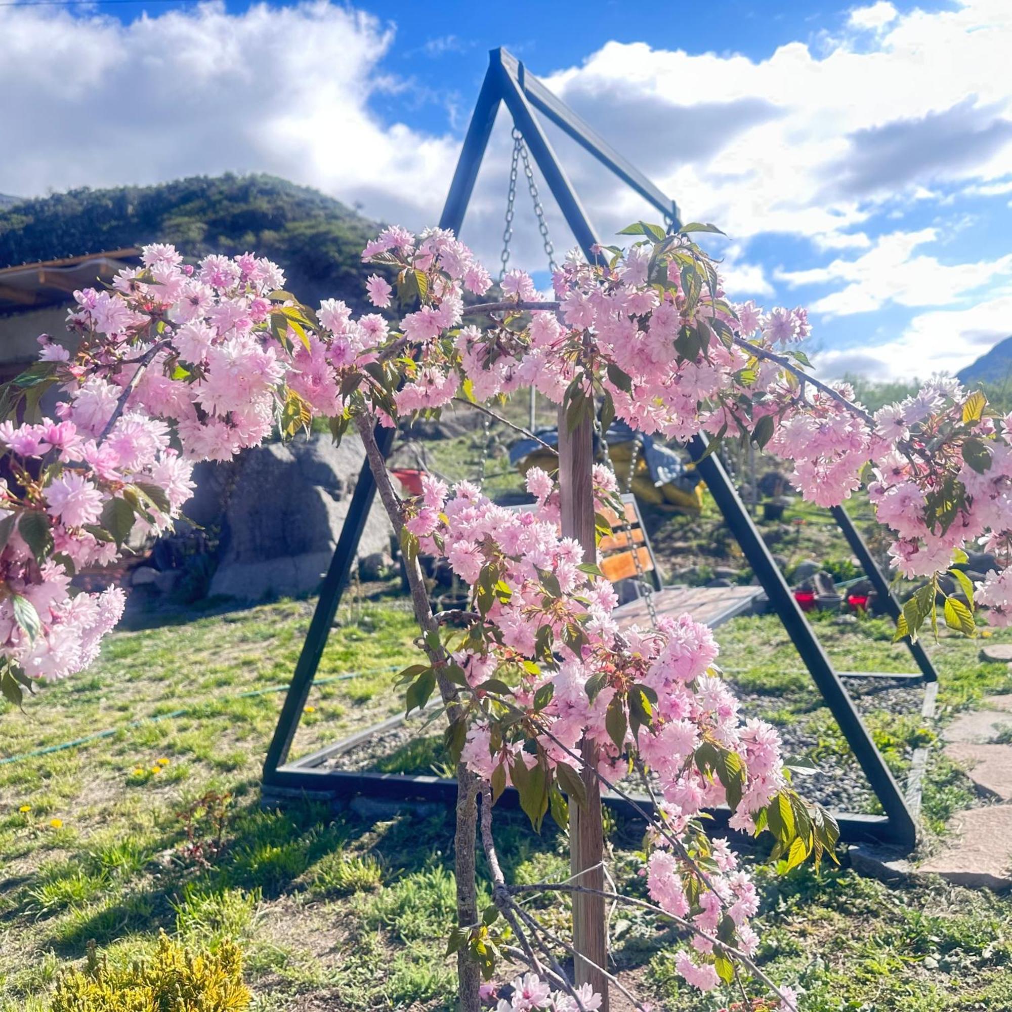 Vardzia Glamping ภายนอก รูปภาพ